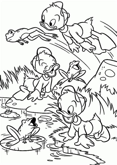 Free Coloring Pages Of A Frog In A Pond Coloring Home