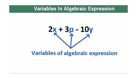 Algebraic Expressions | Variables And Constants | Math Equations @Byju's