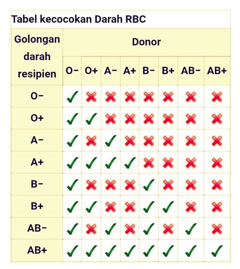 Golongan Darah Manusia Cinta Sains Cinta Sains