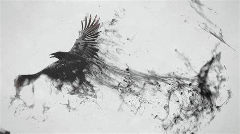 Raven Bird Art Wallpaperhd Artist Wallpapers4k Wallpapersimages