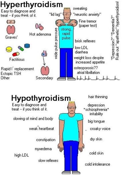 Hyperthyroidism Is Characterized By Hypermetabolism And Elevated Serum