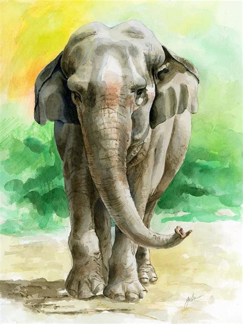 65 Best Images About Elephants Watercolor On Pinterest