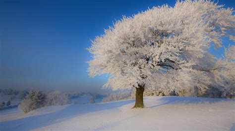 Beautiful Winter Landscape Macbook Air Wallpaper Download Allmacwallpaper
