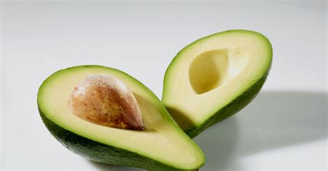 The Long Lonely Quest To Breed The Ultimate Avocado Wired