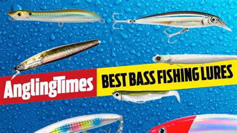 The Best Bass Lures For Shore Fishing Angling Times
