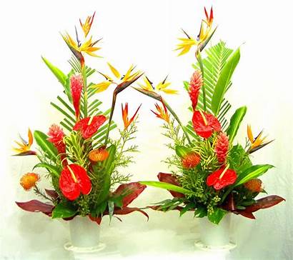 Tropical Arrangements Arrangement Flower Tall Flowers Floral