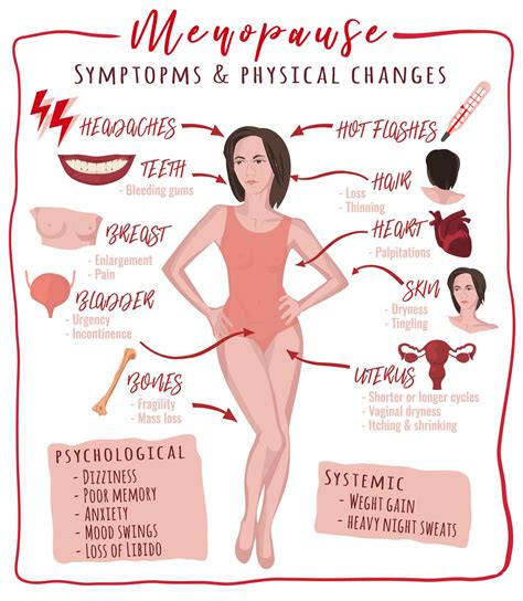 perimenopause symptoms signs artofit
