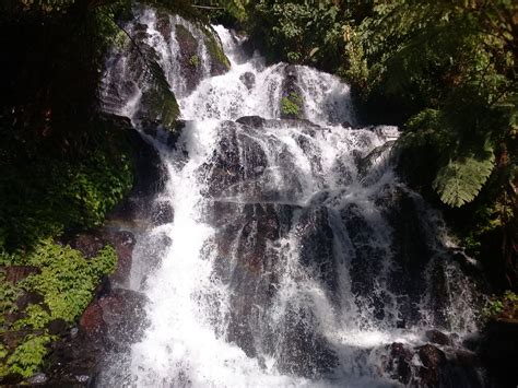 The Bali Bible Jembong Waterfall Ambengan