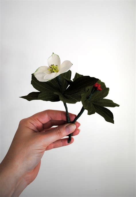 Paper Bunchberry | Red berries, Paper flowers, Crepe paper flower