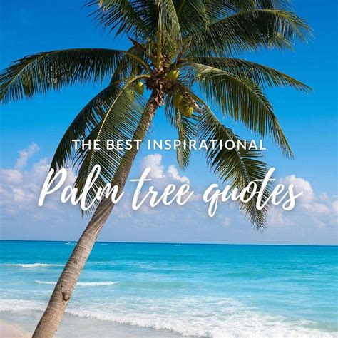 103 Palm Tree Quotes And Captions For Dreaming Of A Tropical Paradise