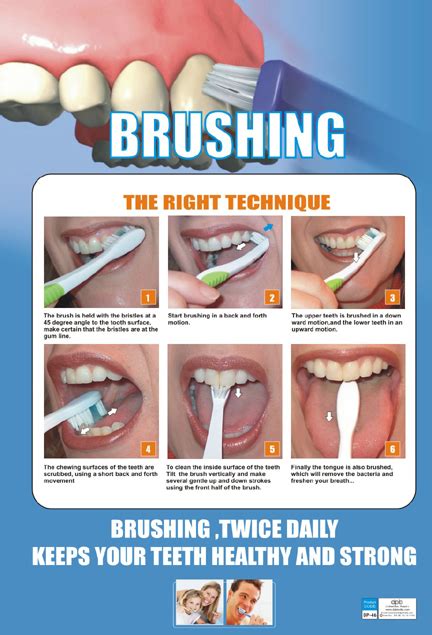 Tooth Brushing Techniques Online Outlet Save 64 Jlcatjgobmx