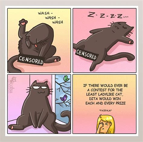 Comics That Purrfectly Capture Life With Cats Cat Comics Funny