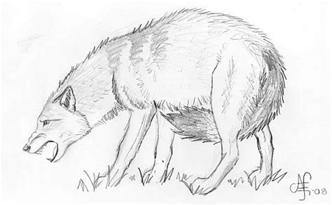Growling Wolf By Liseliza On Deviantart