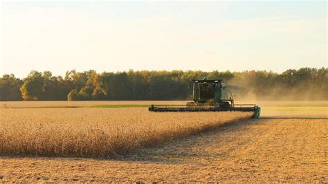 Rain Has Arkansas Soybean Farmers Behind Schedule In Havesting Kuar