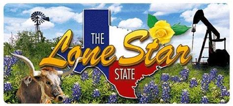 Texas The Lone Star State 3d Fridge Magnet