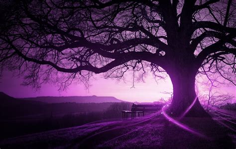 TheMaiestasPhotography: More awesome backgrounds!