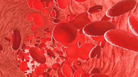 There is no single screening test for cancer. Cancer Tumors and New Blood Test