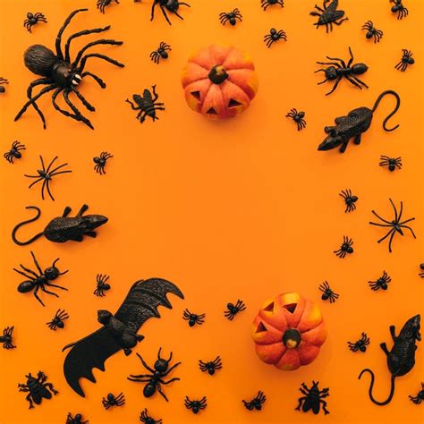 Free Photo Halloween Composition With Circular Space In Middle
