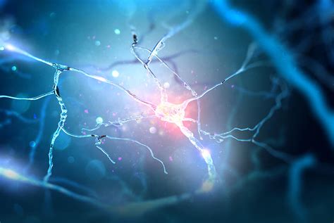 Neurons are the information processing units of the brain which have a responsibility for sending neurons, also known as nerve cells, are essentially the cells that make up the brain and the nervous. Can Simple Neuron Interactions Capture Complex Linguistic ...