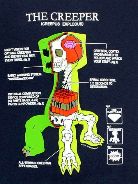 Anatomy Of A Creeper
