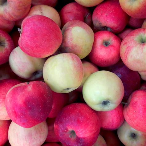 13 Heirloom Apple Varieties For The Perfect Pie