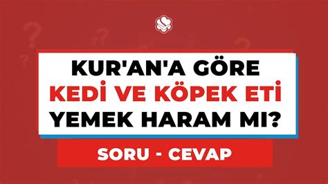 Kur'an'a Göre KEDİ VE KÖPEK ETİ Yemek Haram Mı? - YouTube