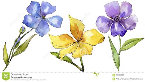 Watercolor Colorful Flax Flowers Floral Botanical Flower Isolated