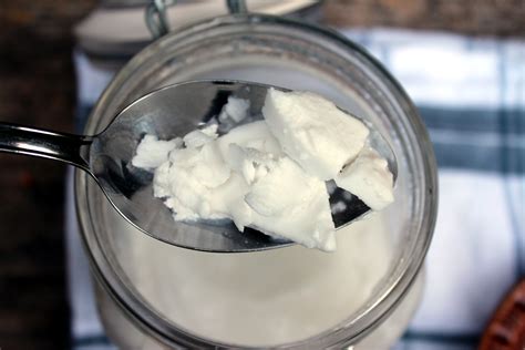 Homemade Coconut Milk Cream Recipe House By The Woods