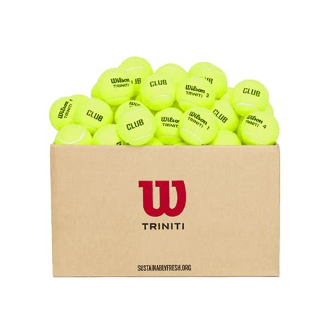 Wilson Triniti Club Tennis Balls 72 Ball Carton Mdg Sports