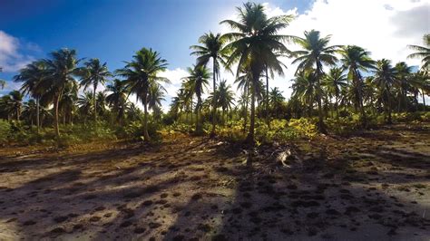 Please use the quick menu. What Bikini Atoll Looks Like Today - Stanford Magazine ...
