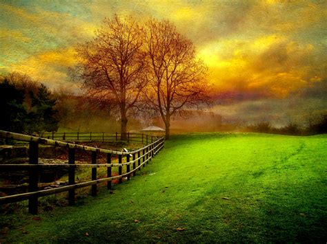 Autumn Field At Sunset Hd Wallpaper Background Image