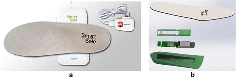 A Gps Smart Sole Placed Over Inductive Charging Device B The Makeup Of