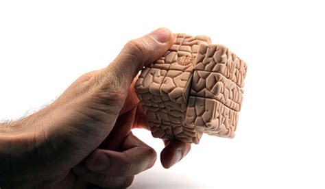 Les Différentes Zones Du Cerveau Stimulées Par Un Rubiks Cube Tpe
