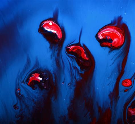 Red Blue Abstract Art Organic Flowers By Kredart Painting By Serg
