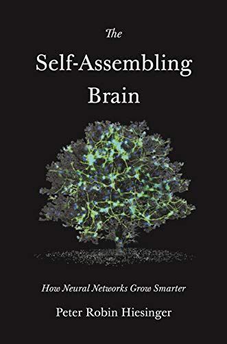 The Self Assembling Brain How Neural Networks Grow Smarter In Artificial Neural Network