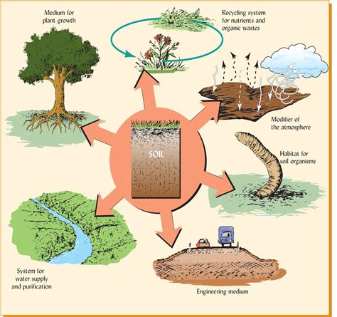 2 The Many Functions And Ecosystem Services Performed By Soil Can Be