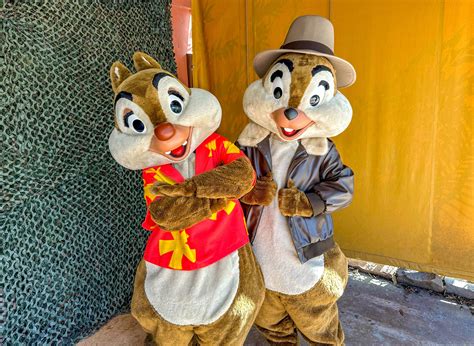 Photos And Video Where To Meet Chip N Dale Rescue Rangers In Disney