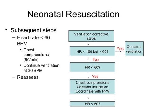 Neonatal Resuscitation Dr Wylie 71714