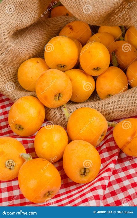 Healthy Freshly Picked Loquats Stock Photo Image Of Harvest