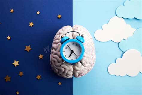 The Circadian Rhythms Are Controlled By Circadian Clocks Or Biological
