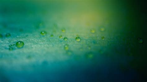Blue Surface Green Water Droplets Macro Water Drops Depth Of Field