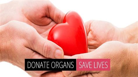 World Organ Donation Day History And Significance