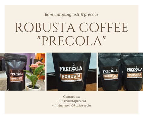 jenis kopi robusta indonesia  berkualitas