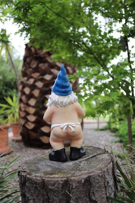 Garden Gnome Naked Nude Gnomes Cooking Naughty Gnome Statue Kitchen 2 X
