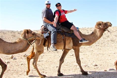 Why You Should Never Ride A Camel Halfway Anywhere