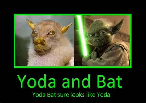 Yoda Bat By Darkkomet On Deviantart