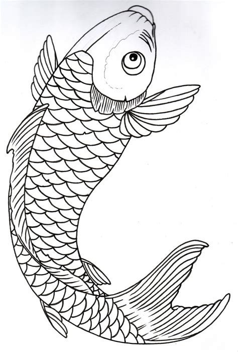 Fish Pencil Sketch At Explore Collection Of Fish