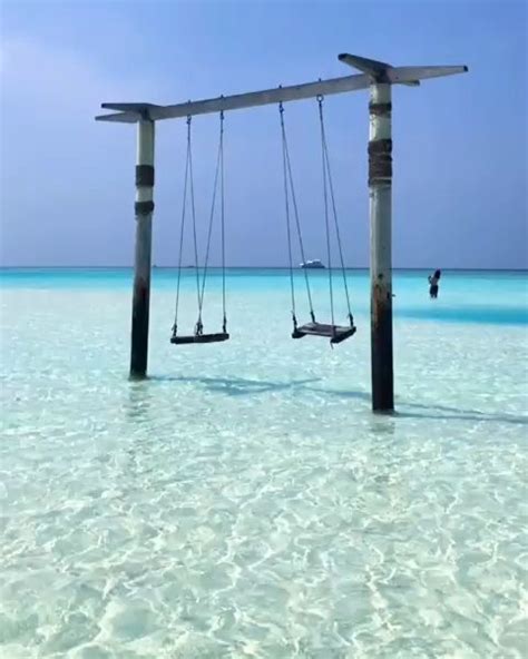 Beach Swing In The Maldives Maldives Beach Beach Swing Beautiful