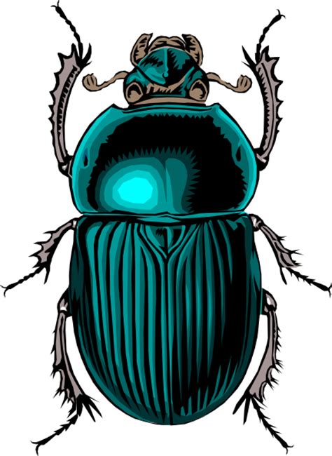 Beetle Bug Clip Art 107187 Free Svg Download 4 Vector