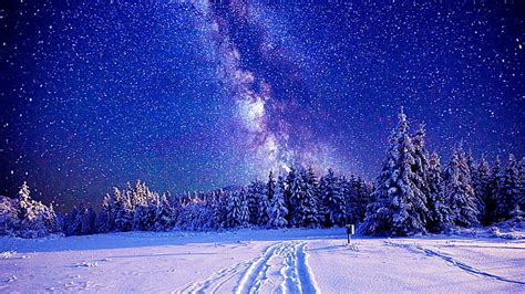 天の川、 冬、 空、 星、 星空、 星空、 雪、 森、 夜空、 夜、 Hdデスクトップの壁紙 Wallpaperbetter